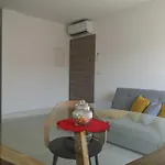Ole Apartment Tolmin