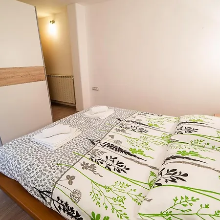 Ole Apartman Tolmin