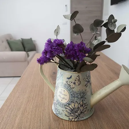 Apartman Ole *