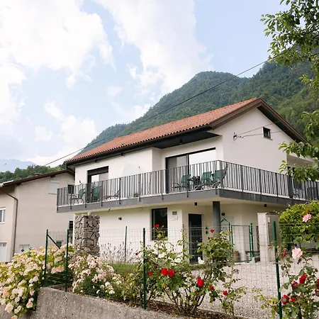 Ole * Tolmin