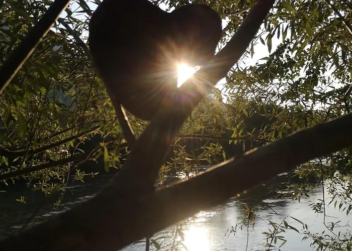 アパート Ole トールミン